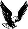 bezpe�nostn� ozna�en� skla siluety dravc� - orel